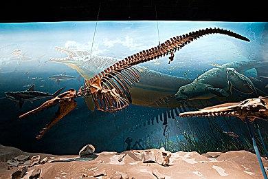 《暗黑4》第一赛季：杀死恶役魔 取其心脏转化为力量